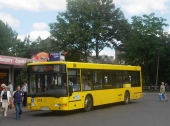 Jelcz M125M #219 PKM Katowice - linia 146